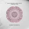 封面 David Hohme & Artic White - Friendly Fire David Hohme & Artic White - Friendly Fire