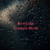 封面 DA TI - RUN LIKE FORREST GUMP (SIRIN INCI REMIX) DA TI - RUN LIKE FORREST GUMP (SIRIN INCI REMIX)