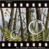 封面 Kettel - Unistar Kettel - Unistar