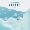 封面 Leonardus - Lovestruck Leonardus - Lovestruck