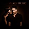 封面 Phonique & Rebecca - Feel What You Want (Fairplay Remix) Phonique & Rebecca - Feel What You Want (Fairplay Remix)