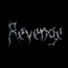 封面 The Revenge - Every Night The Revenge - Every Night