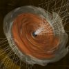 封面 Wellenfeld - Black Hole Wellenfeld - Black Hole