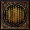封面 Bring Me The Horizon - Can You Feel My Heart Bring Me The Horizon - Can You Feel My Heart