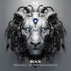 封面 Bixx - Do The Right Thing Bixx - Do The Right Thing
