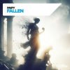 封面 Paipy - Fallen Paipy - Fallen