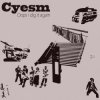 封面 Cyesm - Our Leaders Cyesm - Our Leaders