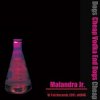 封面 Malandra Jr - Infinity Malandra Jr - Infinity