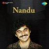 封面 Nandu - Forever In Our Favor Nandu - Forever In Our Favor