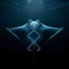 封面 KREAM - Manta KREAM - Manta