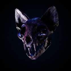 封面 Darci - Wild Horse
