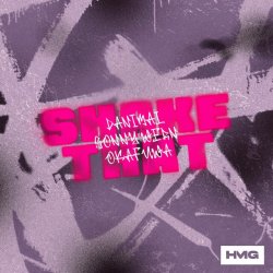 封面 Danimal & Sonny Wern - Shake That