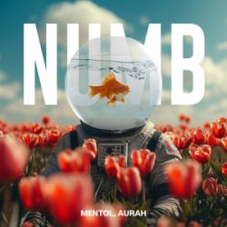 封面 Linkin Park - Numb (Mentol Remix) Aurah Cover