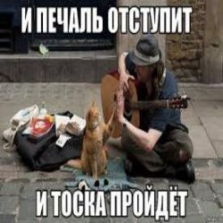 Обкладинка Ноль - Человек И Кошка