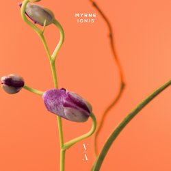 封面 MYRNE - Time (Something To You)