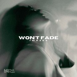 封面 Imazee - Won't Fade (Original Mix)