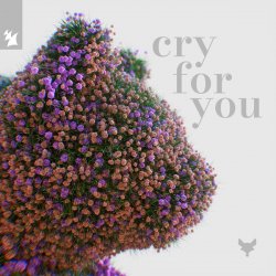 封面 Cat Dealers & Tineway & Dani Doucette - Cry for You