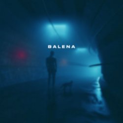 封面 skyfall beats - balena