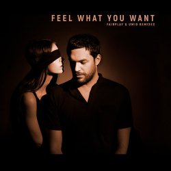 封面 Phonique & Rebecca - Feel What You Want (Fairplay Remix)