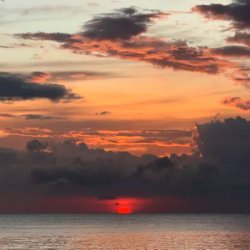 封面 Alex Kontsov & Sun - The Rapture Pt.IV
