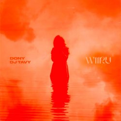 封面 Dony & DJ TAVY - WIIRU