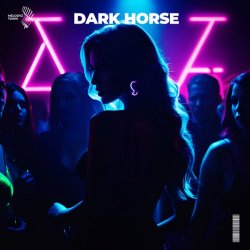 封面 Slawd & Vallvete - dark horse (slowed + reverb)