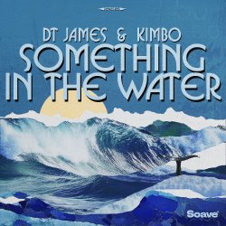 封面 DT James & Kimbo - Something In The Water
