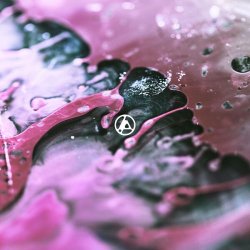 Обкладинка Linkin Park - Two Faced