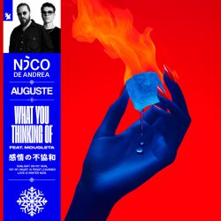 封面 Nico de Andrea & AUGUSTE & Mougleta - What You Thinking Of