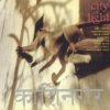 封面 Bill Laswell - Scratch Code Bill Laswell - Scratch Code