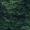 封面 Bill Laswell - Outer Woo Bill Laswell - Outer Woo
