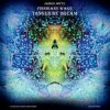 封面 Tangerine Dream - Tear Down The Grey Skies Tangerine Dream - Tear Down The Grey Skies