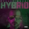 封面 Hybrid - Break My Soul Hybrid - Break My Soul
