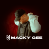 封面 Macky Gee & Bizarre - Revenge Macky Gee & Bizarre - Revenge