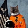 封面 Klaxons - Twin Flames Klaxons - Twin Flames