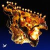 封面 Korolova & Ross Quinn - Say Korolova & Ross Quinn - Say
