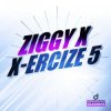 封面 Ziggy X - Vikinx Ziggy X - Vikinx
