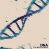 封面 KVSH & Future Skies - DNA KVSH & Future Skies - DNA