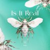 封面 Kabo - Is It Real (Extended Mix) Kabo - Is It Real (Extended Mix)