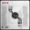 封面 Sullivan King - CHAOS WILL BRING PEACE Sullivan King - CHAOS WILL BRING PEACE