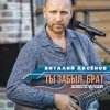 封面 Виталий Аксенов - Ты забыл брат Виталий Аксенов - Ты забыл брат