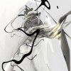 Autechre - Characi