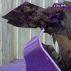 封面 U-Ziq - Mushroom Compost U-Ziq - Mushroom Compost