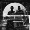 封面 Synapscape - 2nd Sect Synapscape - 2nd Sect