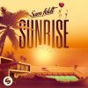 封面 Sam Feldt - All The Things She Said Sam Feldt - All The Things She Said