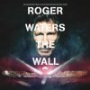 封面 Roger Waters - Comfortably Numb Roger Waters - Comfortably Numb