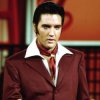 封面 Elvis Presley - Can't Help Falling in Love Elvis Presley - Can't Help Falling in Love
