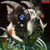 封面 Machine Girl - Blood Magic Machine Girl - Blood Magic
