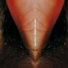 封面 Venetian Snares - Duffy Venetian Snares - Duffy
