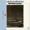 封面 Alain Bellaiche - Sea Fluorescent Alain Bellaiche - Sea Fluorescent